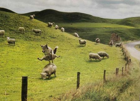 Nature folle...
